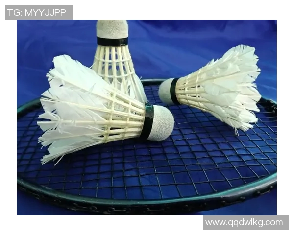 羽毛球新手必看:全面掌握技巧与训练方法的入门指南 羽毛球新手必看:全面掌握技巧与训练方法的入门指南