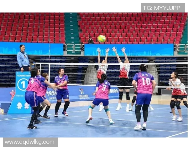 重庆排球队实力提升引发热议展现新风貌与未来潜力