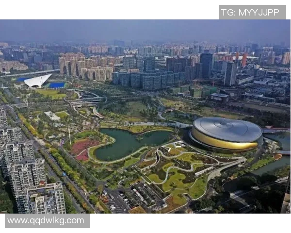 南京乒乓球队转型之路的挑战与机遇全景揭秘