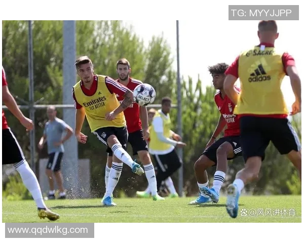 名字中含有亚字的足球明星盘点与成就分析 名字中含有亚字的足球明星盘点与成就分析